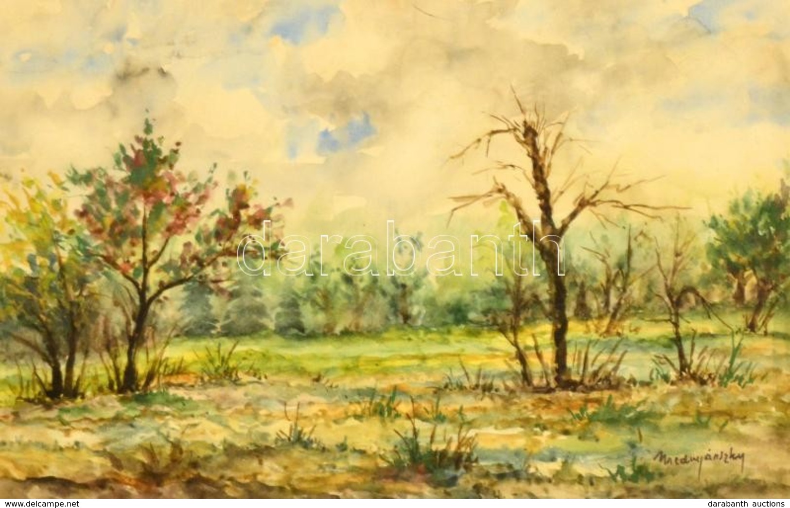 Mednyánszky Jelzéssel:  Erdőtűz Után. Akvarell, Papír, üvegezett Keretben, 31×48 Cm - Sonstige & Ohne Zuordnung