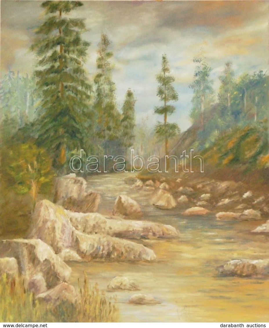 F. Szemes Mari: Tájkép. Olaj, Farost. Jelzett. 50x60 Cm - Altri & Non Classificati