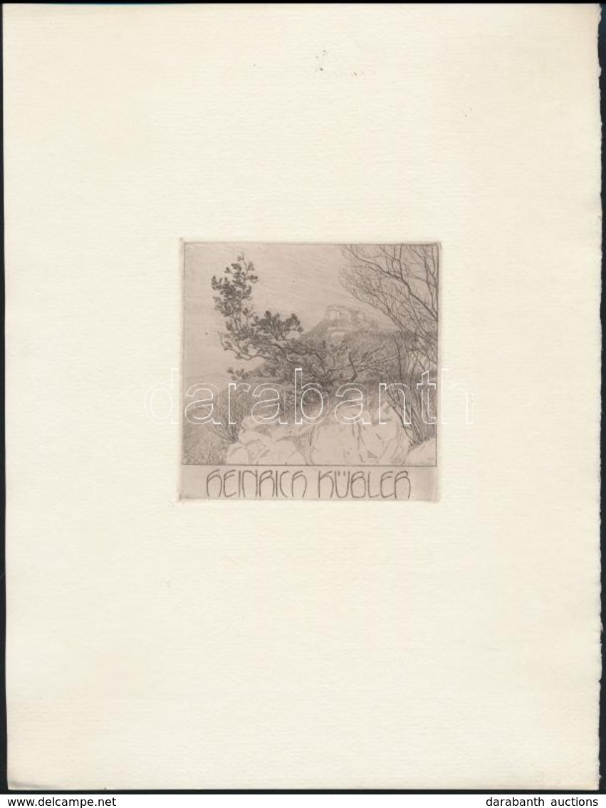 Alfred Teuffel (1892-1942): Ex Libris Heinrich Kübler. Rézkarc, Papír, Jelzett A Karcon, 8,5×9 Cm - Altri & Non Classificati