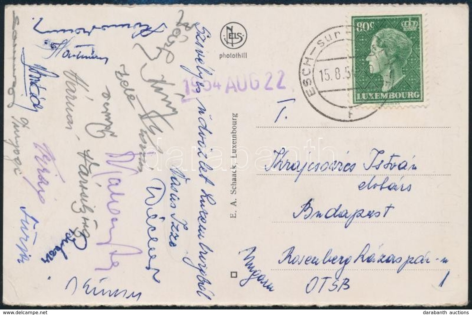 1954 A Vasas Izzó Lbdarúgóinak Aláírásai Levelezőlapon: Bárfy, Bukov, Zele, Stb. - Other & Unclassified