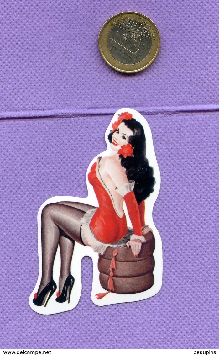 3 AUTOCOLLANT  STICKER PIN UP GIRL    S126 - Autocollants