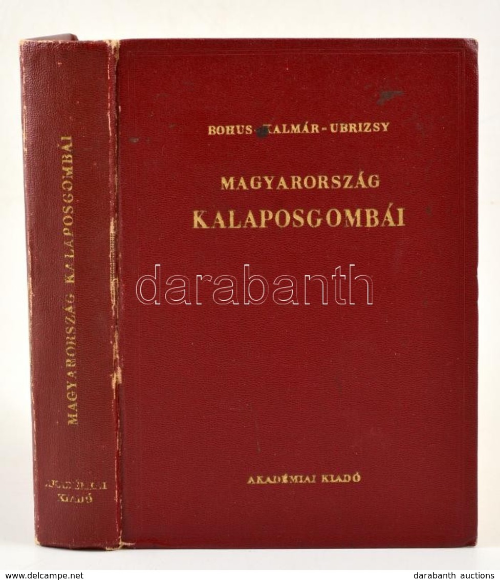 Bánhegyi-Bohus-Kalmár-Ubrizsy: Magyarország  Kalaposgombái. Bp., 1951.
Akadémiai Kiadó, Egészvászon Kötésben, Kopásokkal - Non Classificati