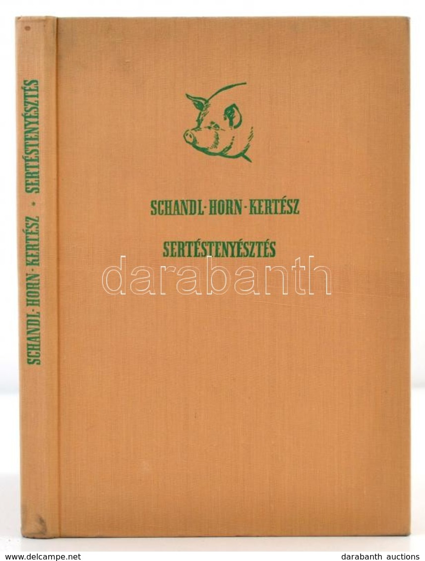 Schandl József-Horn Artúr-Kertész Ferenc: Sertéstenyésztés. Bp.,1961, Mezőgazdasági. Harmadik, átdolgozott Kiadás. Kiadó - Unclassified