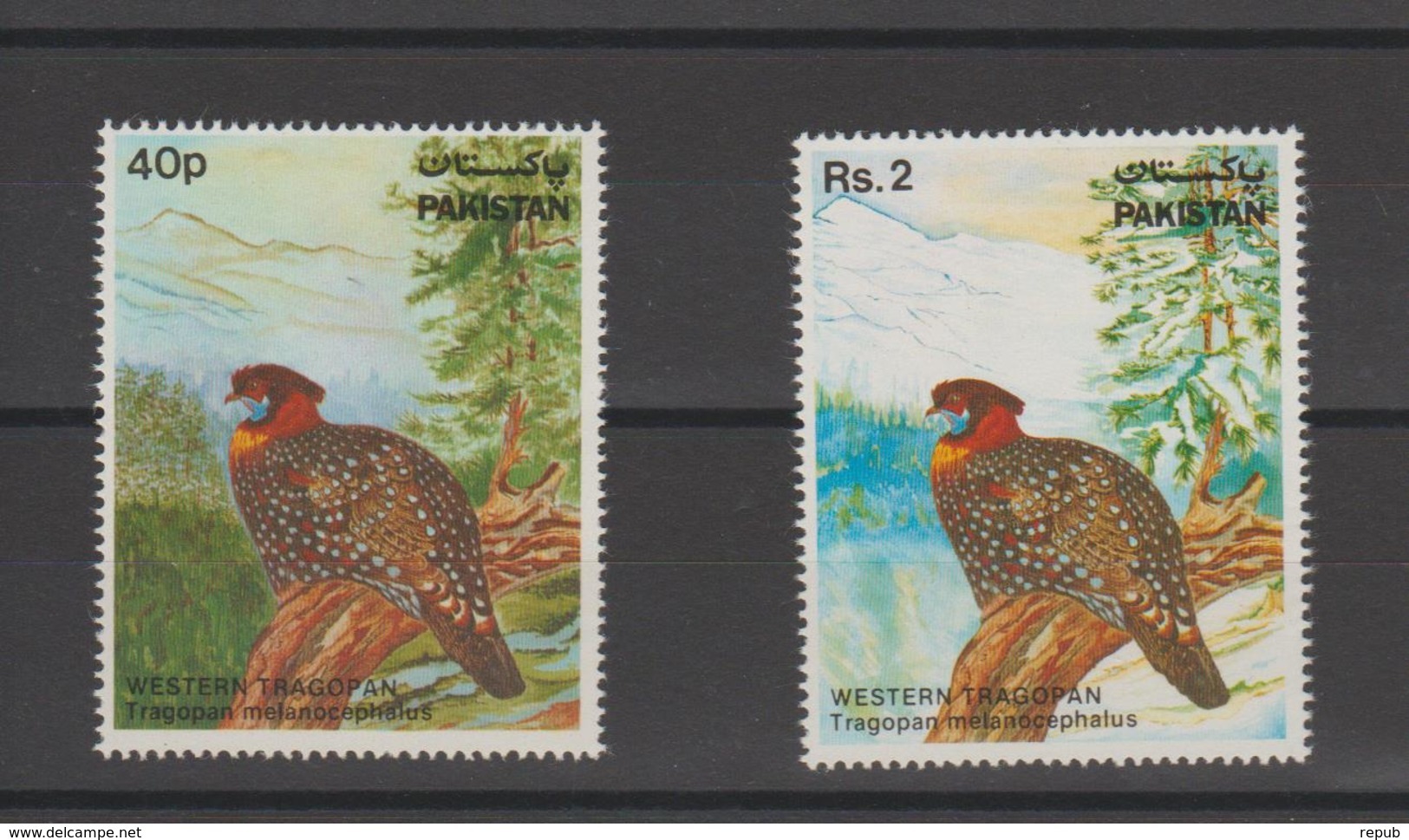 Pakistan 1981 Oiseau Série 546-48 2 Val ** MNH - Pakistan