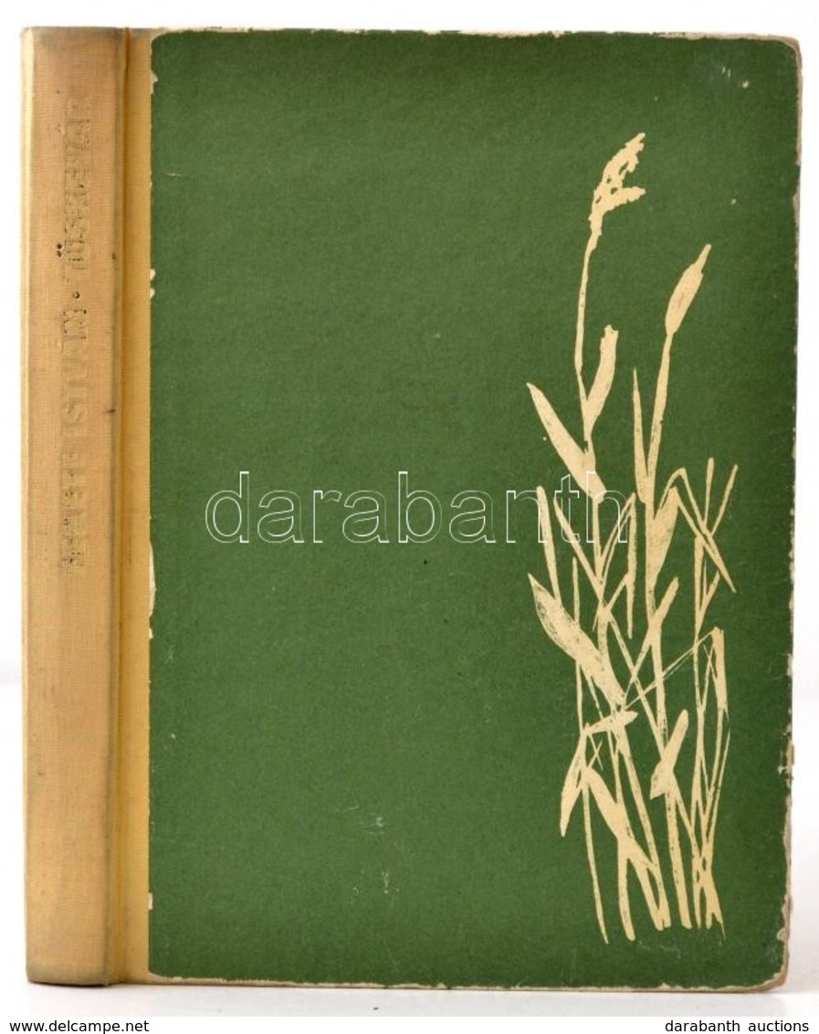 Fekete István: Tüskevár. Bp.,1972, Móra. Kiadói Félvászon-kötés, Kopott Borítóval. - Non Classificati