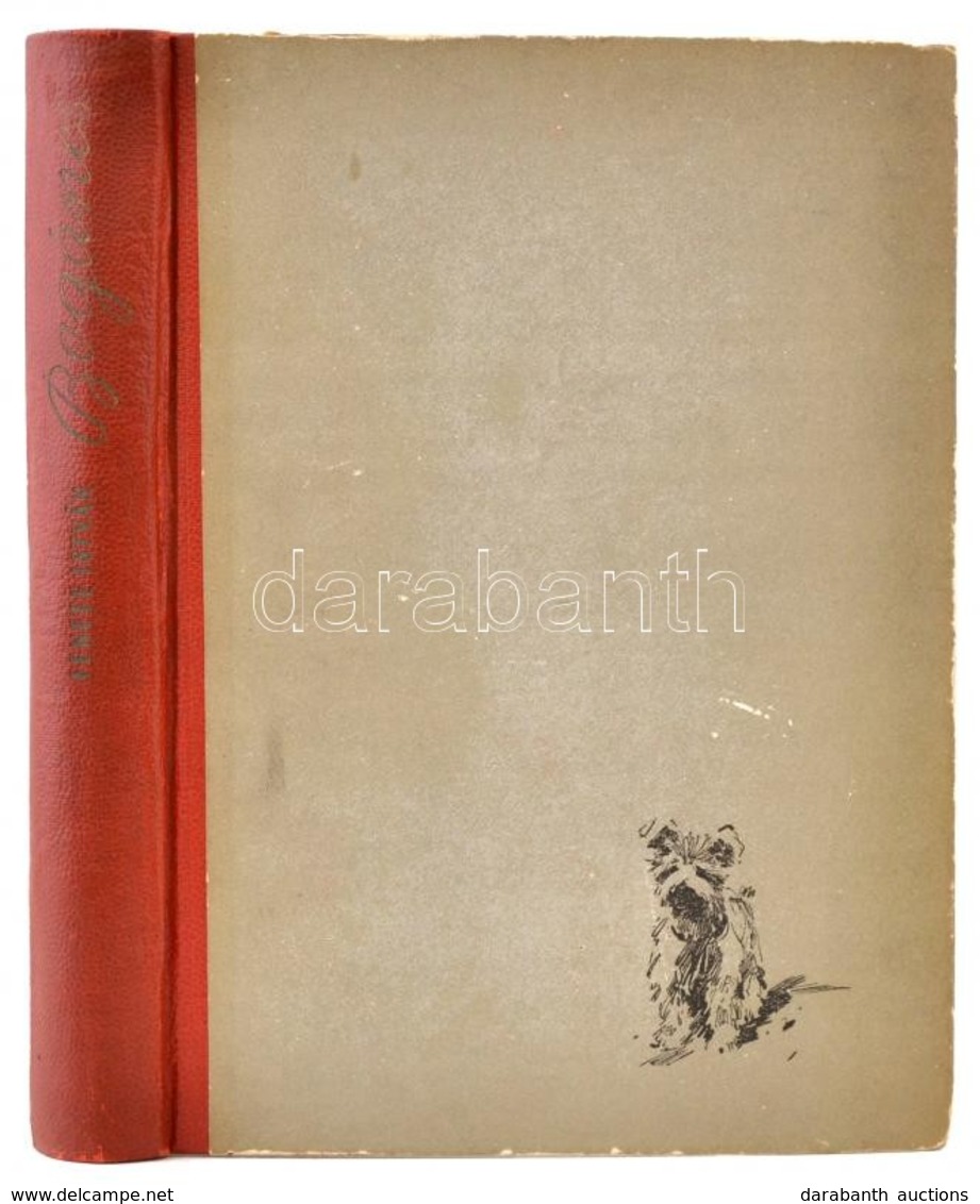 Fekete István: Bogáncs. Cselényi József Rajzaival.  Bp., 1957, Ifjúsági. Első Kiadás. Kiadói Kopott Félvászon-kötés. - Non Classificati