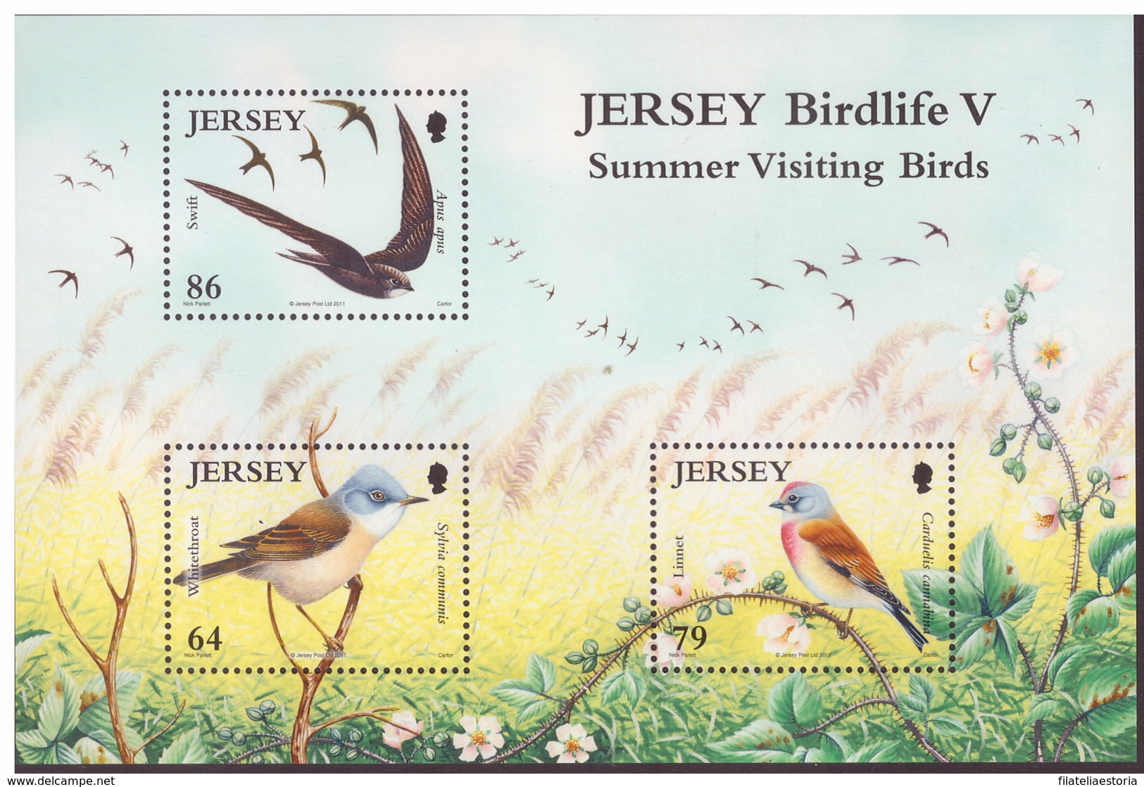 Jersey 2011 - MNH ** - Oiseaux - Michel Nr. Bloc 94 (gbj486) - Jersey