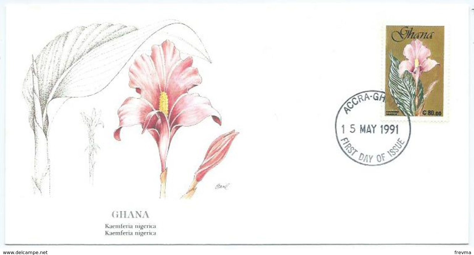 Enveloppe 1er Jour Ghana FDC Kaemferia Nigerica 1991 - Ghana (1957-...)