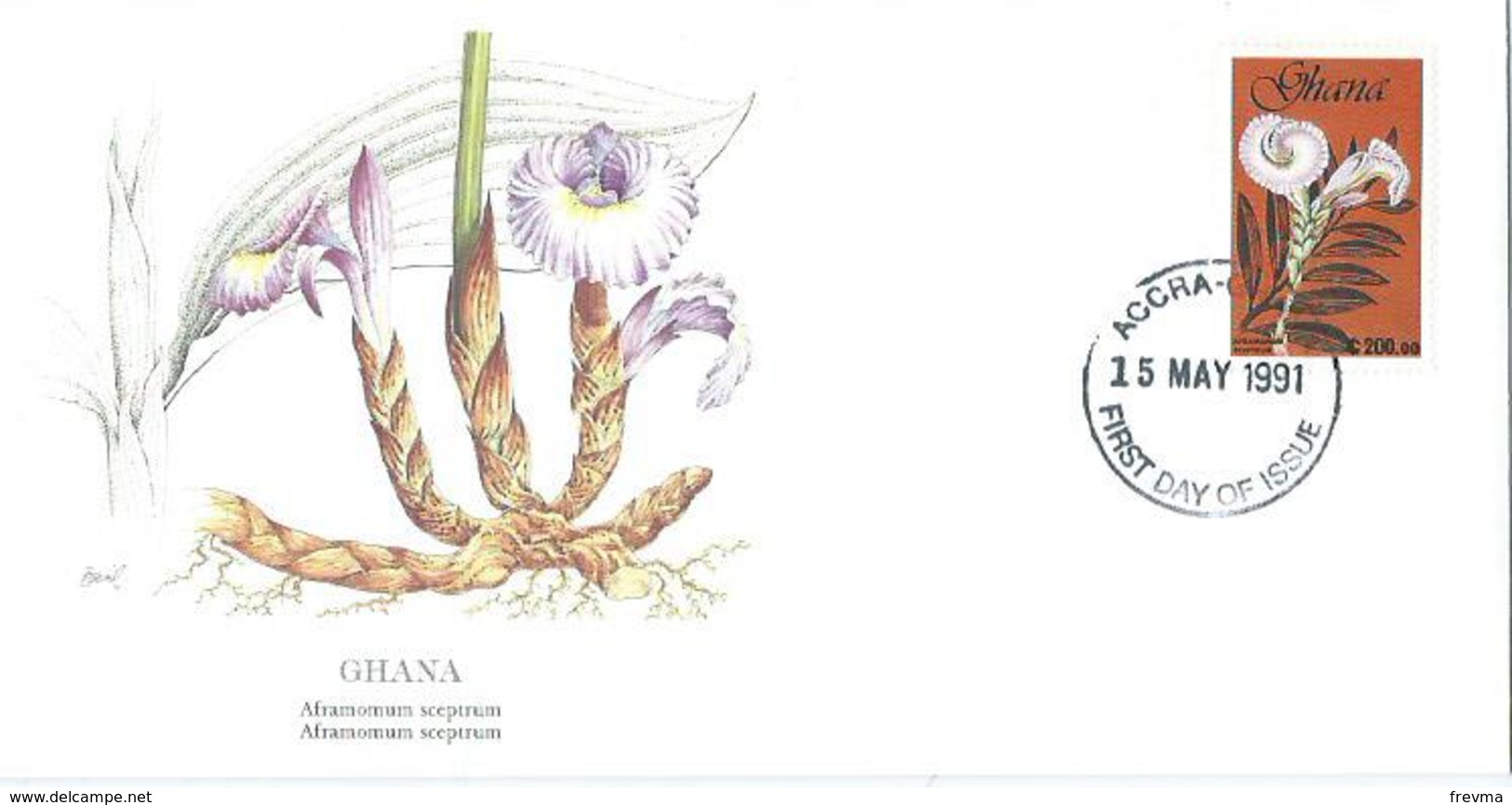 Enveloppe 1er Jour Ghana FDC Aframomum Sceptrum 1991 - Ghana (1957-...)