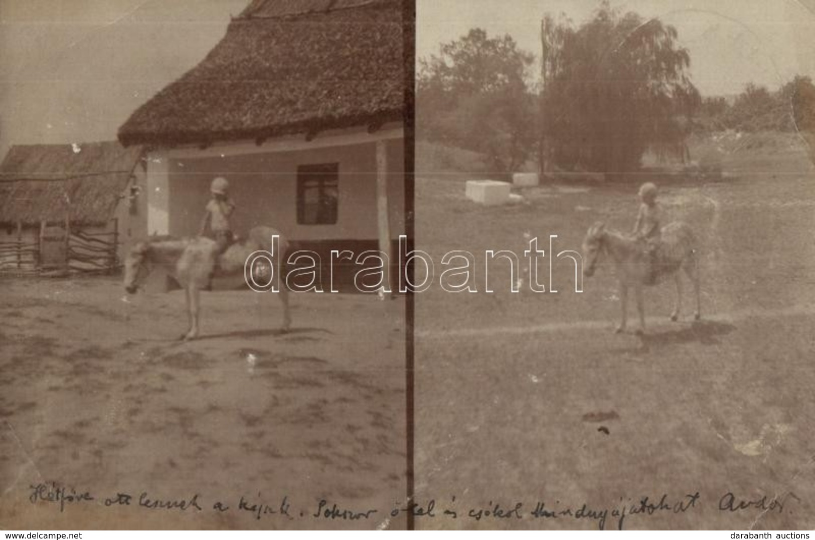 T2/T3 1905 Tőserdő (Tiszaalpár); Szőllős-Berek Villa, Szamáron ülő Kisfiú, Photo (kis Szakadás / Small Tear) - Ohne Zuordnung