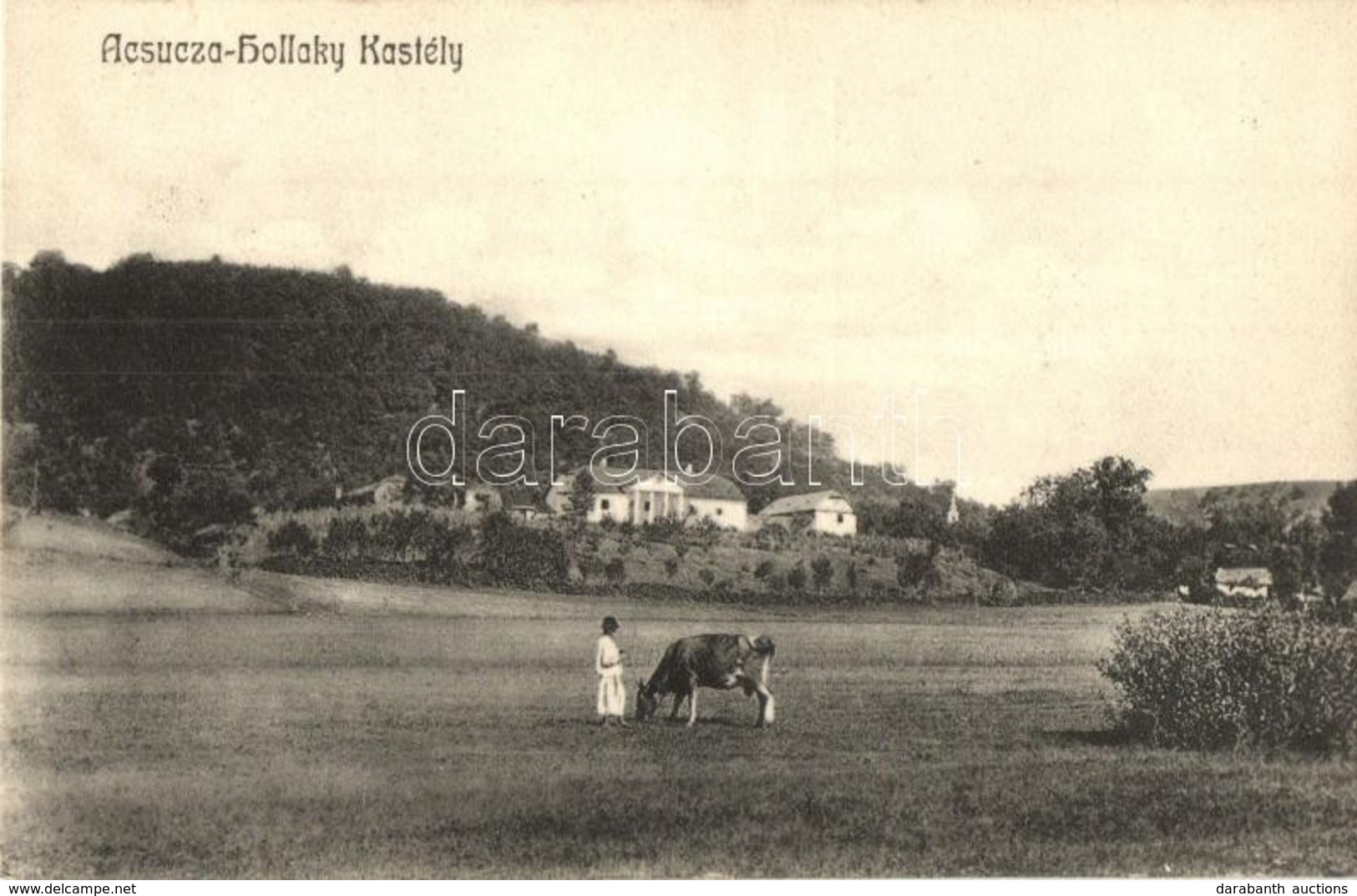 T2 1910 Acsuca, Ácsfalva, Aciuta; Hollaky Kastély, Legelésző Tehén / Castle With Grazing Cow - Unclassified