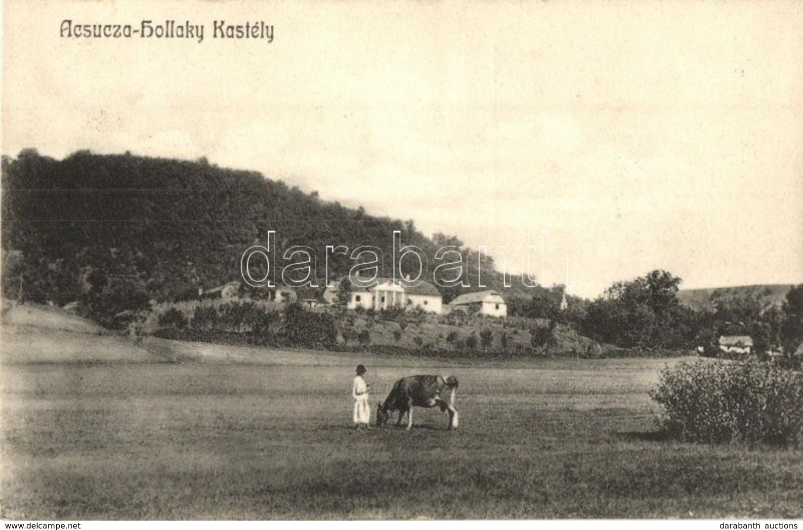 T2 1910 Acsuca, Ácsfalva, Aciuta; Hollaky Kastély, Legelésző Tehén / Castle With Grazing Cow - Non Classificati