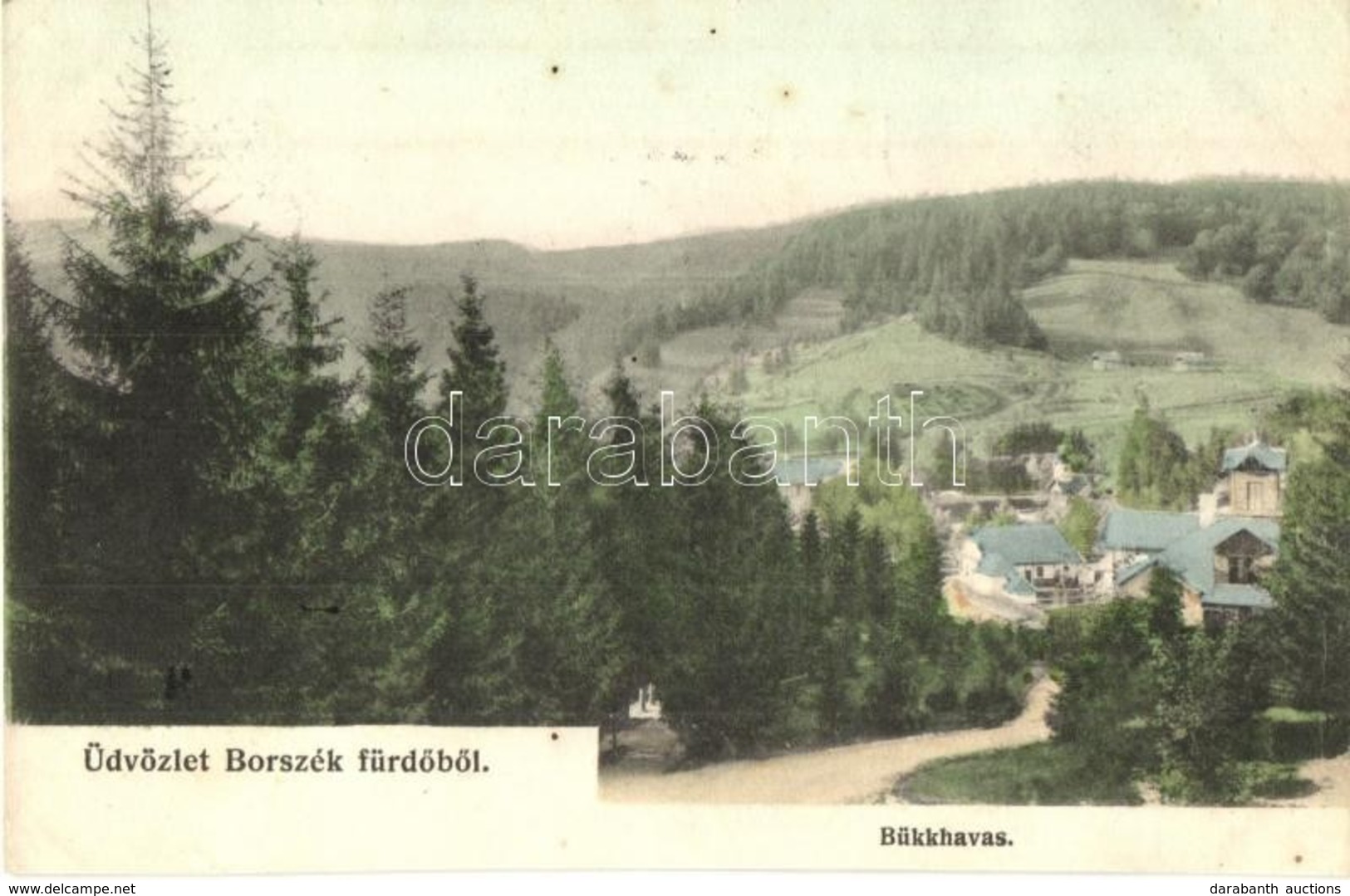 T4 1908 Borszék, Borsec; Bükkhavas / Mountain Peak (vágott / Cut) - Non Classificati