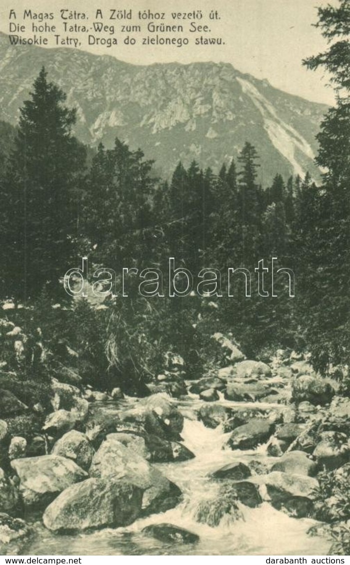 ** T2 Tátra, Magas Tátra, Vysoké Tatry; Zöld-tóhoz Vezető út / Weg Zum Grünen See / Creek - Non Classificati