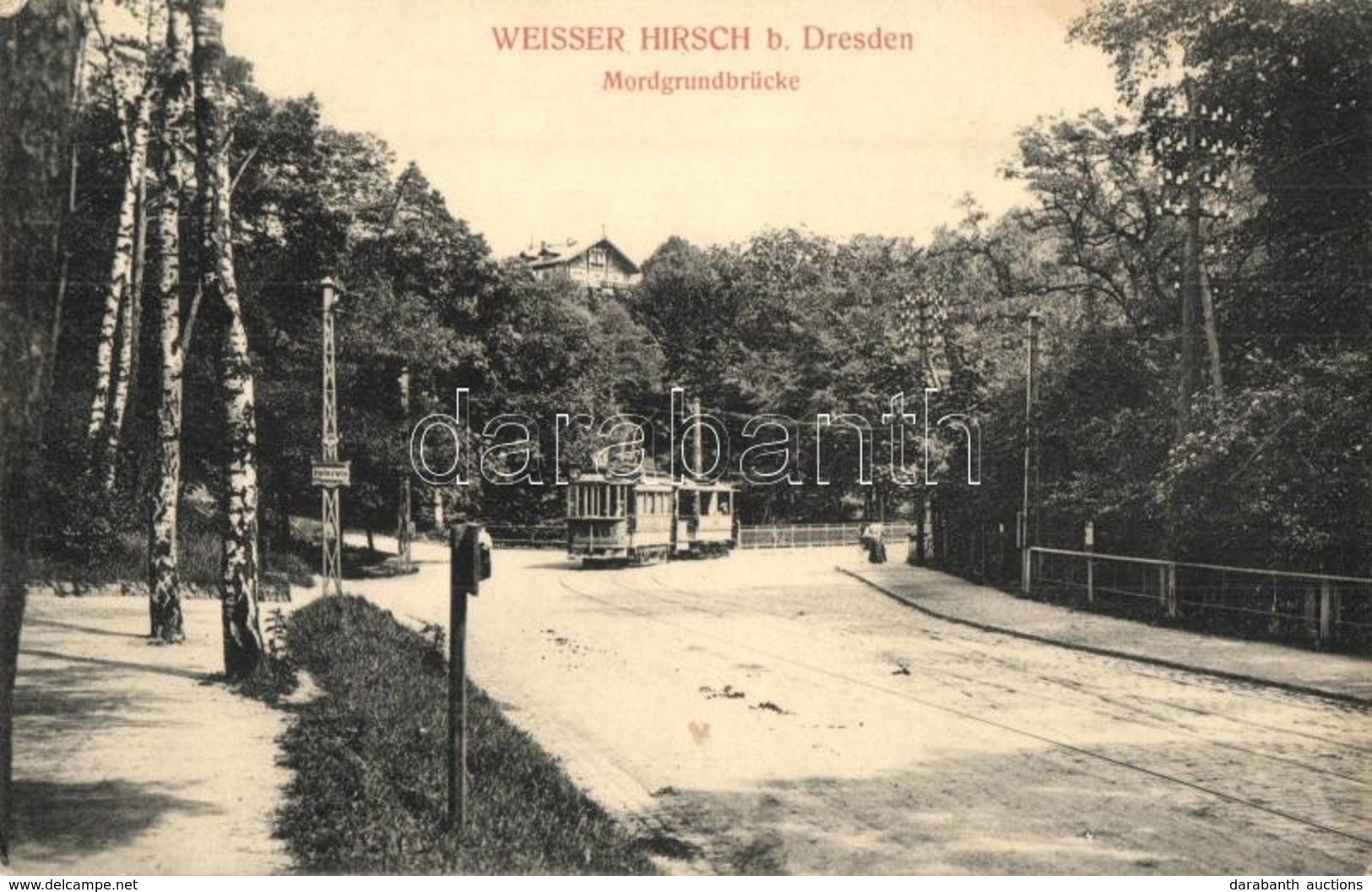 * T2/T3 Weisser Hirsch B. Dresden, Mordgrundbrücke, Haltestelle / Bridge, Tram Stop (Rb) - Ohne Zuordnung