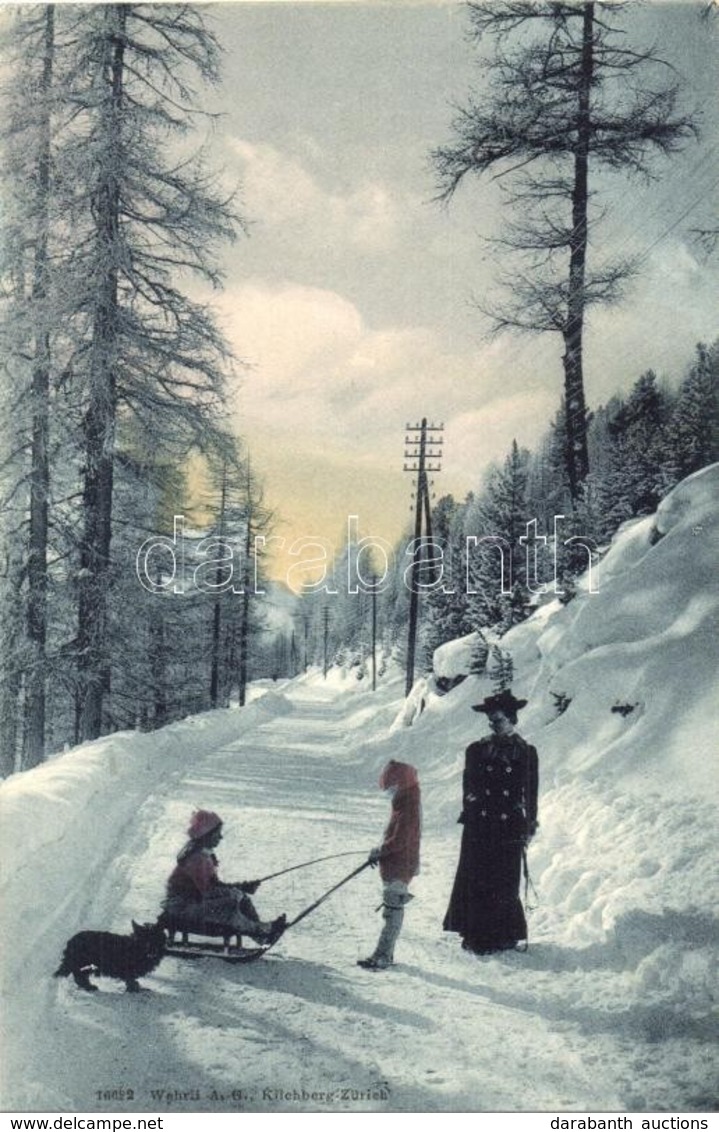 ** T1 Winter Sport In Sankt Moritz, Sledding, Sled With Children And Dog. Photograpie-Verlag Wehrli A.-G. 16622. - Non Classificati