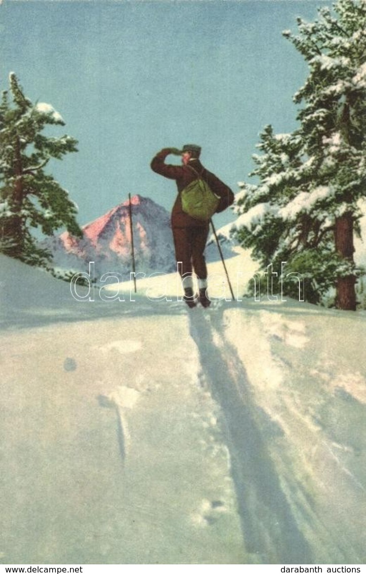 ** T2 Skiing, Skiers, Winter Sport - Ohne Zuordnung