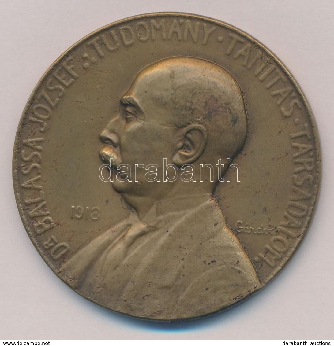 Gárdos Aladár (1878-1944) 1918. 'Dr. Balassa József' Br Emlékérem. 'DR. BALASSA JÓZSEF - TUDOMÁNY - TANÍTÁS - TÁRSADALOM - Unclassified