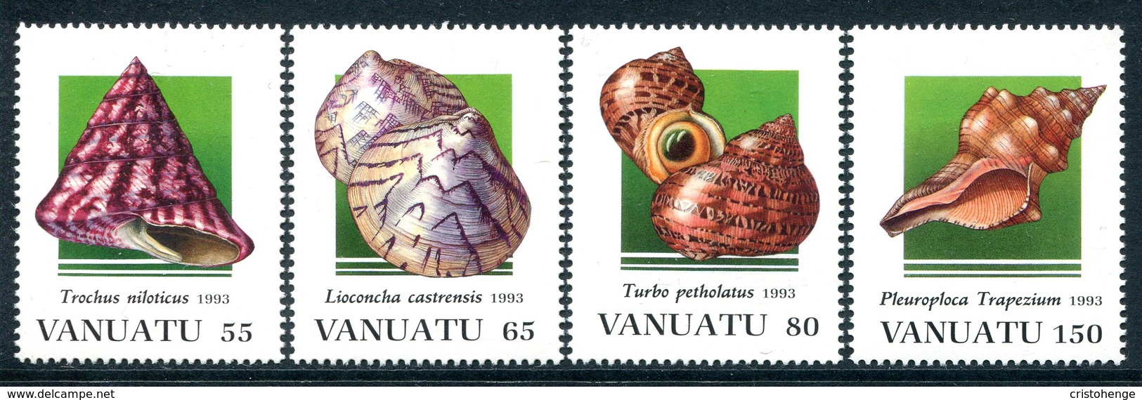 Vanuatu 1993 Shells - 1st Issue Set MNH (SG 644-647) - Vanuatu (1980-...)