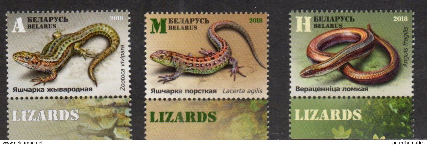 BELARUS , 2018, MNH,  REPTILES, LIZARDS, 3v - Other & Unclassified