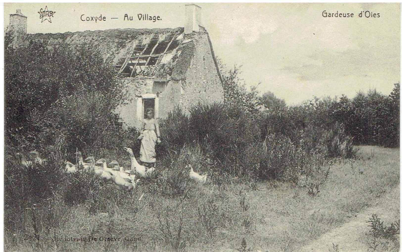 COXYDE - Au Village - Gardeuse D' Oies - N° 2421 De Graeve Gand - Koksijde