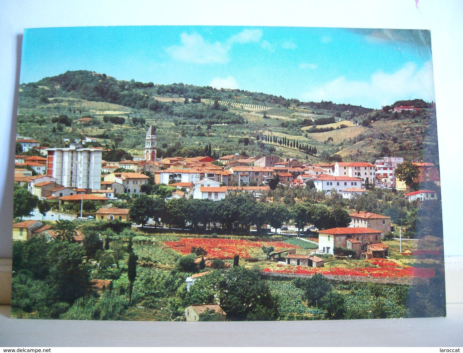 1974 - Pisa - Casciana Terme - Panorama  Da Levante - Ed. Lilia Miliani - Pisa