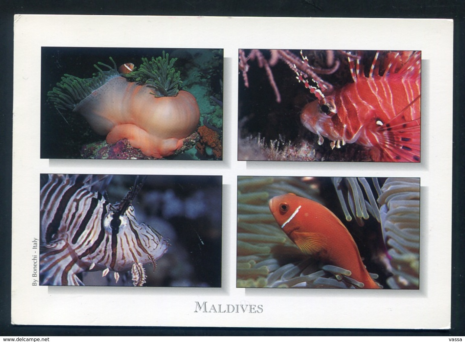 MALDIVES  - Clownfish & Scorpionfish. Postmark AIRPORT OFFICE On Flower Stamp - Maldive