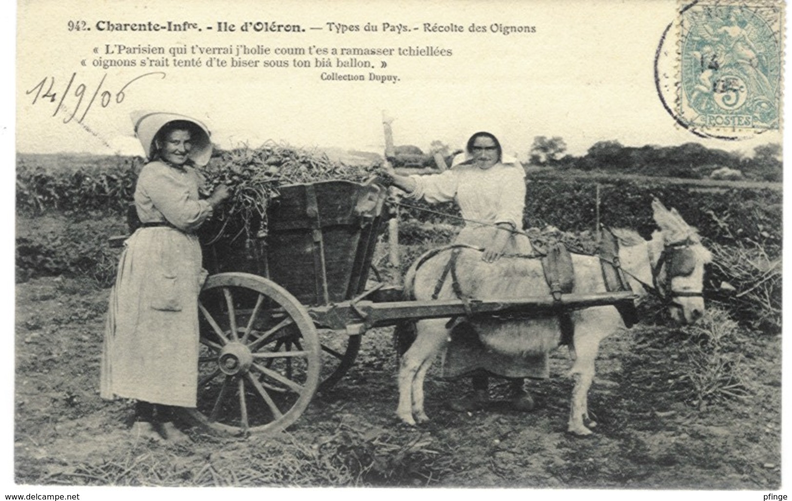 Ile D'Oléron - Récolte Des Oignons, 1906 - Ile D'Oléron