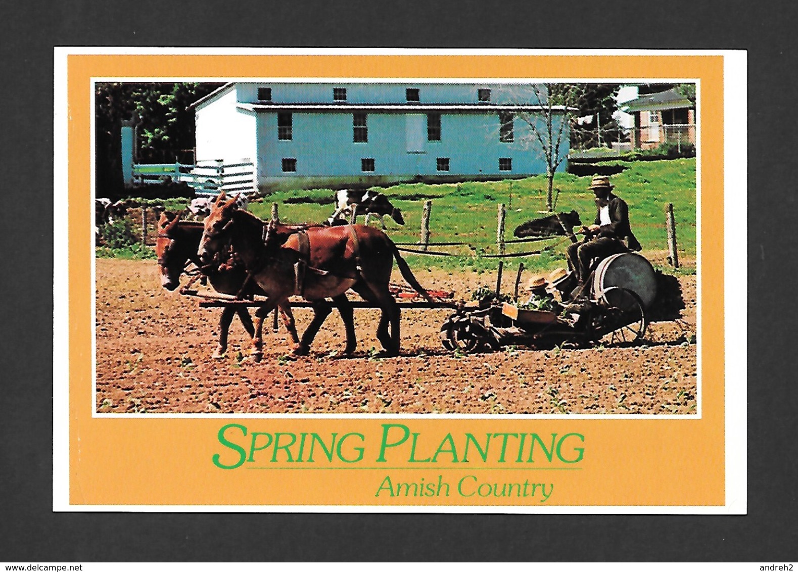 PENNSYLVANIA - AMISH COUNTRY - SPRING PLANTING TOBACCO PLANTING - Other & Unclassified