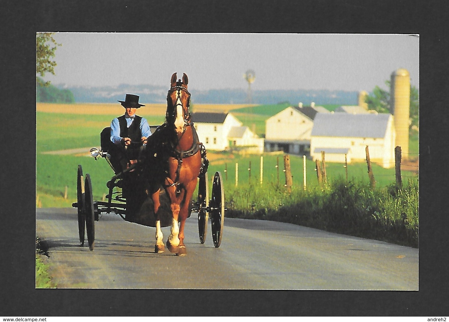 PENNSYLVANIA - AMISH COUNTRY - THE CHIEF SOURCE OF TRANSPORTATION FOR  ANISH REMAINS THE HORSE AND BUGGY BY JERRY IRWIN - Other & Unclassified