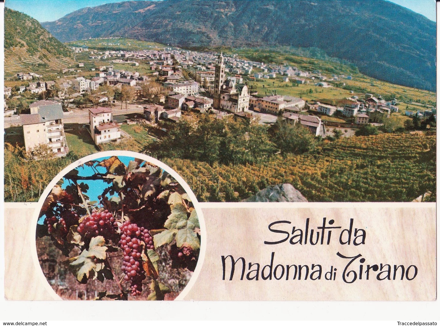 CARTOLINA SALUTI DA MADONNA DI TIRANO - VEDUTA - UVA - 1975 - Gruss Aus.../ Gruesse Aus...