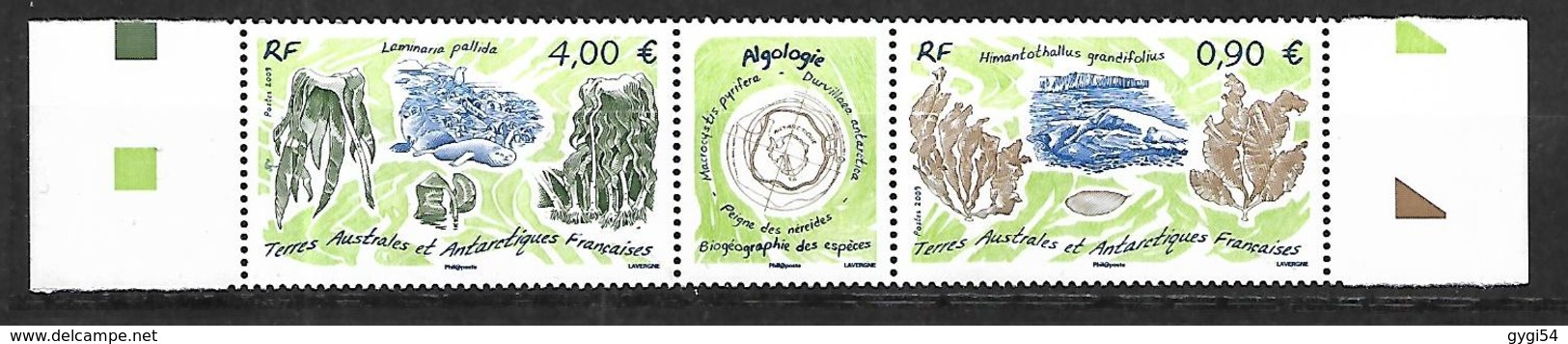 TAAF  2009  Cat Yt N° TRIPTYQUE 528 , 529  N** MNH - Blocs-feuillets