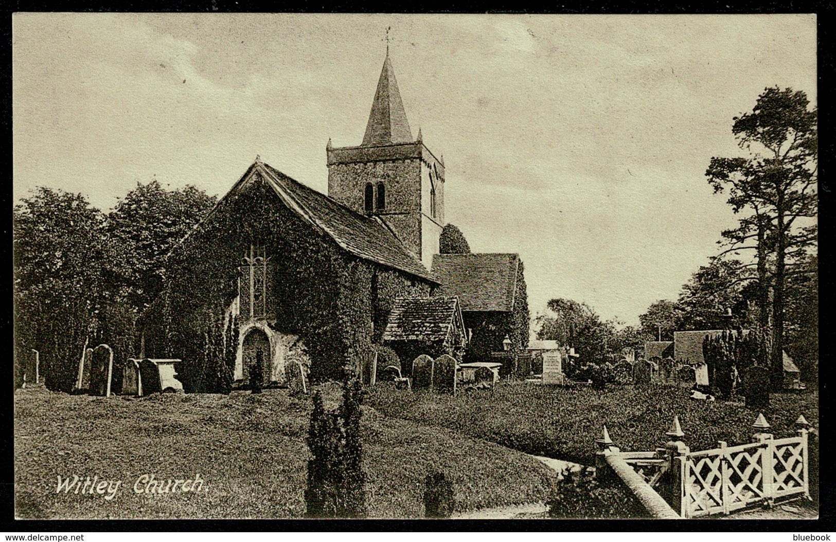 Ref 1275 - Early Postcard - Witley All Saints Church & Graveyard - Surrey - Surrey