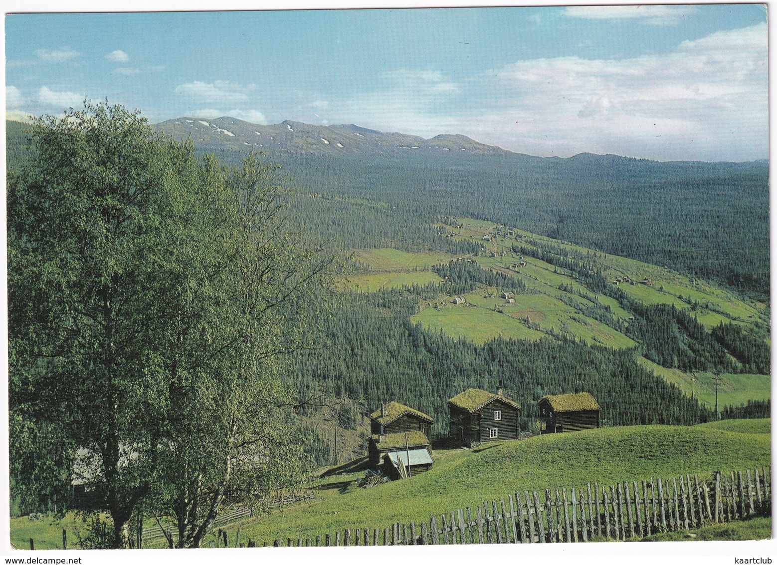 Skabu Mot Rutenfjell, Gudbrandsdalen - (Norge - Norway) - Norway