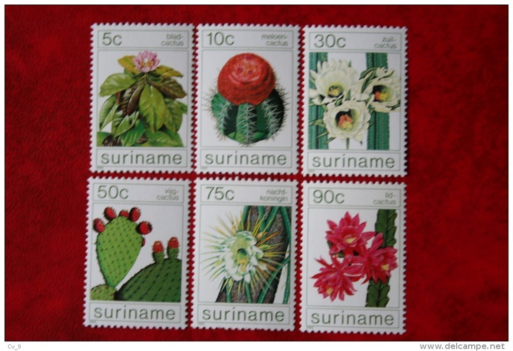 Surinam / Suriname 1985 Cactus Flowers (ZBL 434-439 Mi 1114-1119 Sc 697-702) POSTFRIS / MNH ** - Suriname