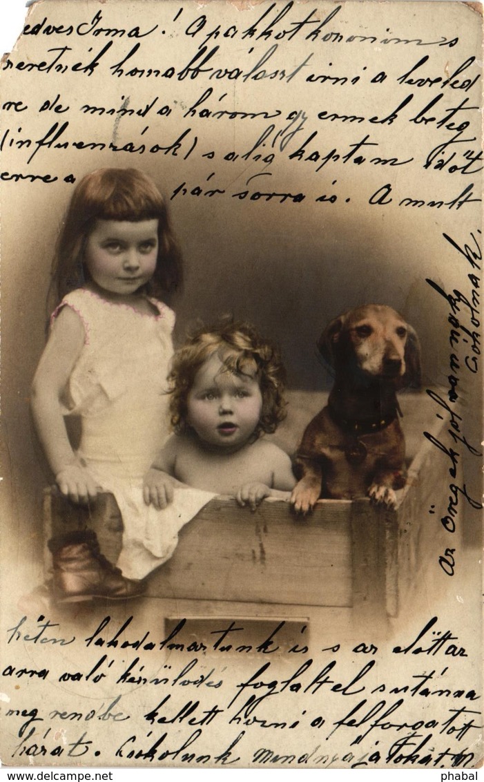 Dogs, Dachshund In A Crate With A Baby And A Little Girl, Old Postcard 1904 - Dogs