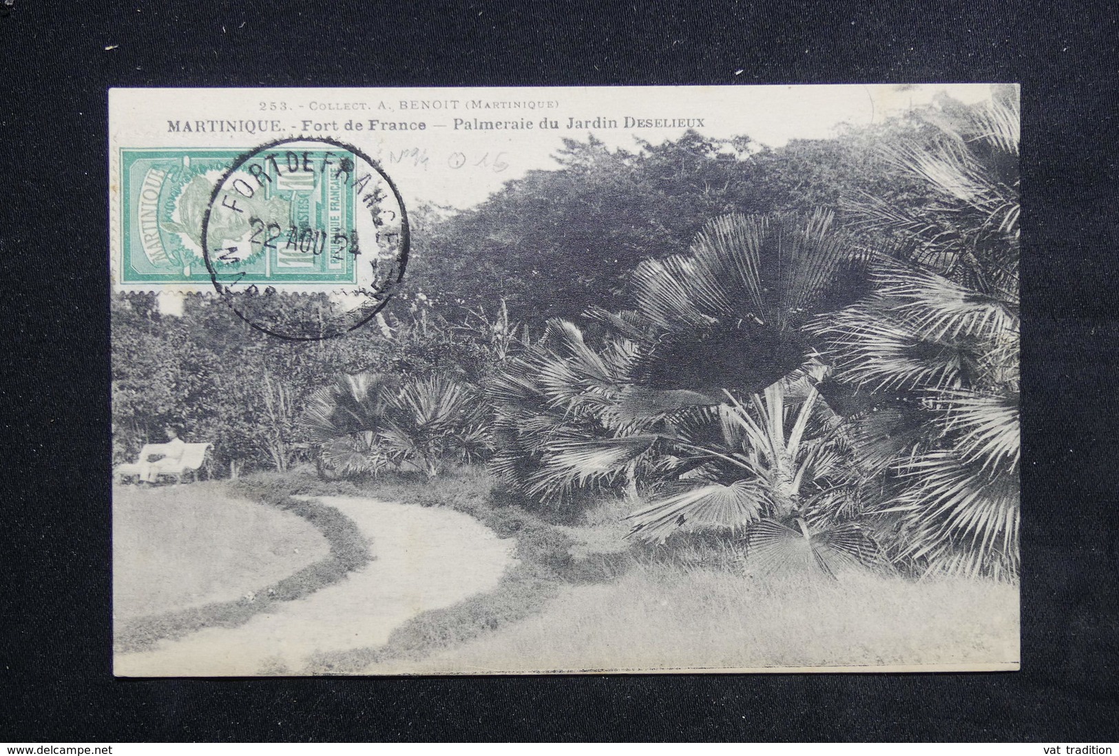 MARTINIQUE - Carte Postale - Fort De France - Palmeraie Du Jardin Deselieux - L 22933 - Fort De France