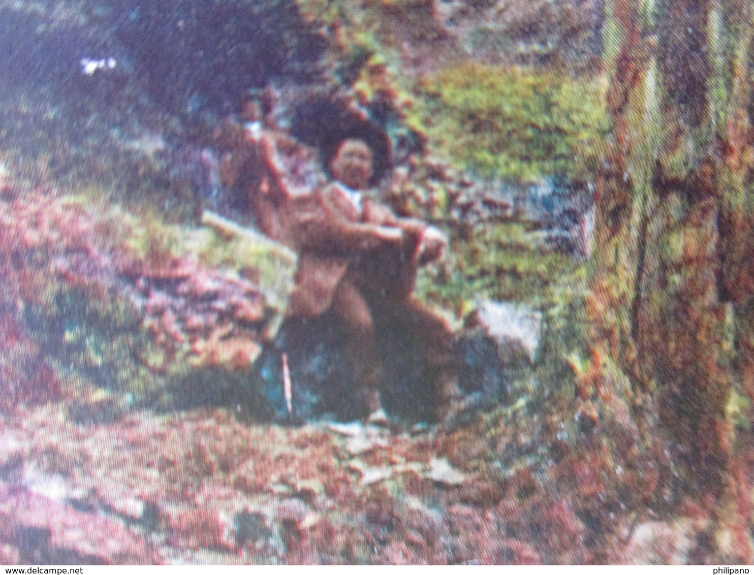 Petrified Trees At Yancey's     Yellowstone National Park     -    Ref 3164 - Other & Unclassified