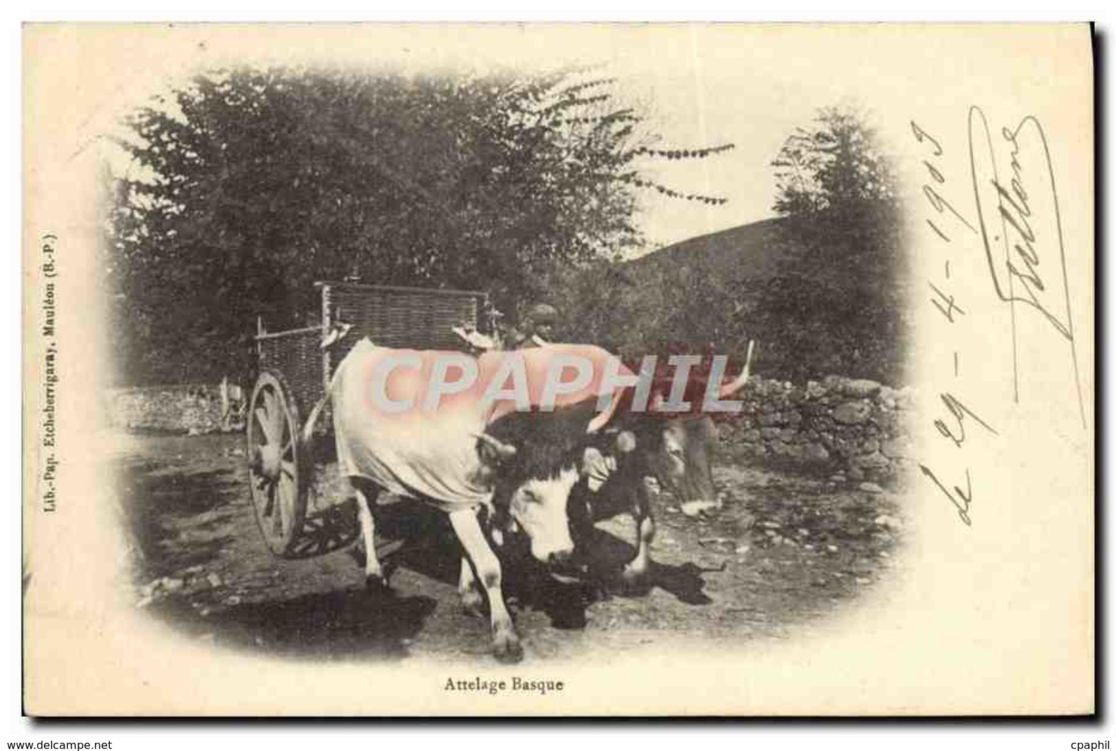 CPA Attelage Basque Boeufs - Attelages