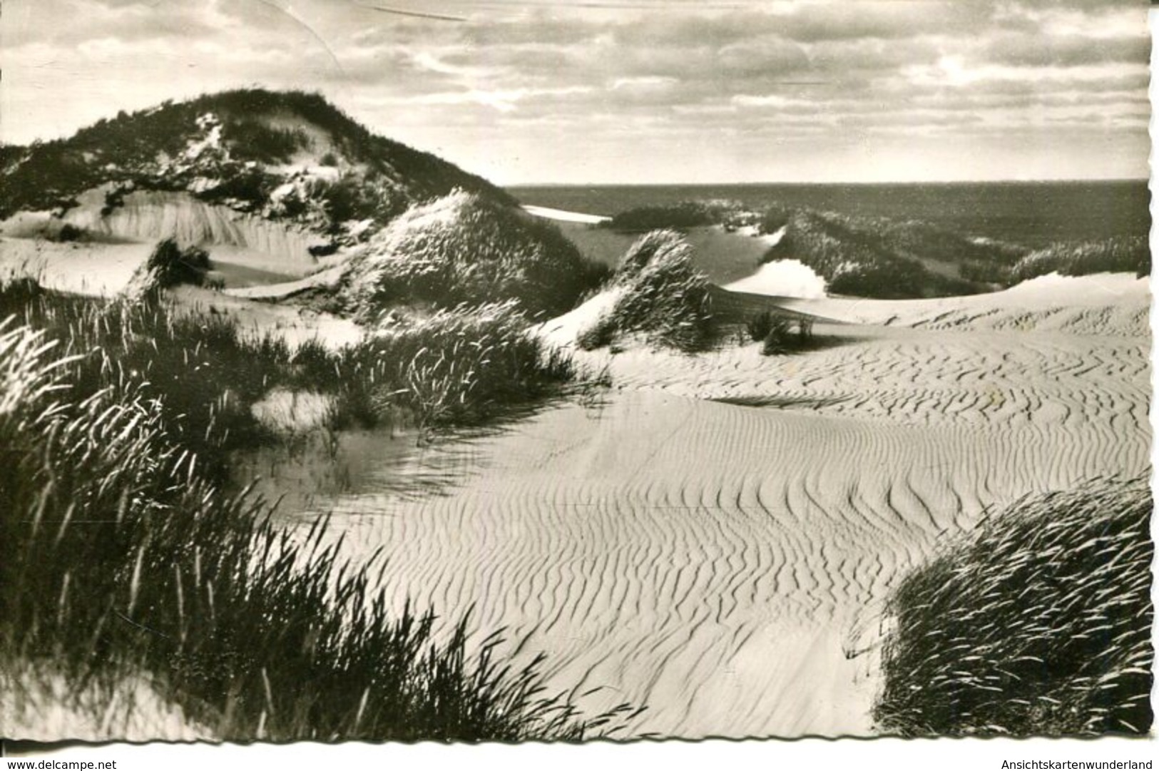 005995  Insel Sylt - Wanderdüne - Sylt