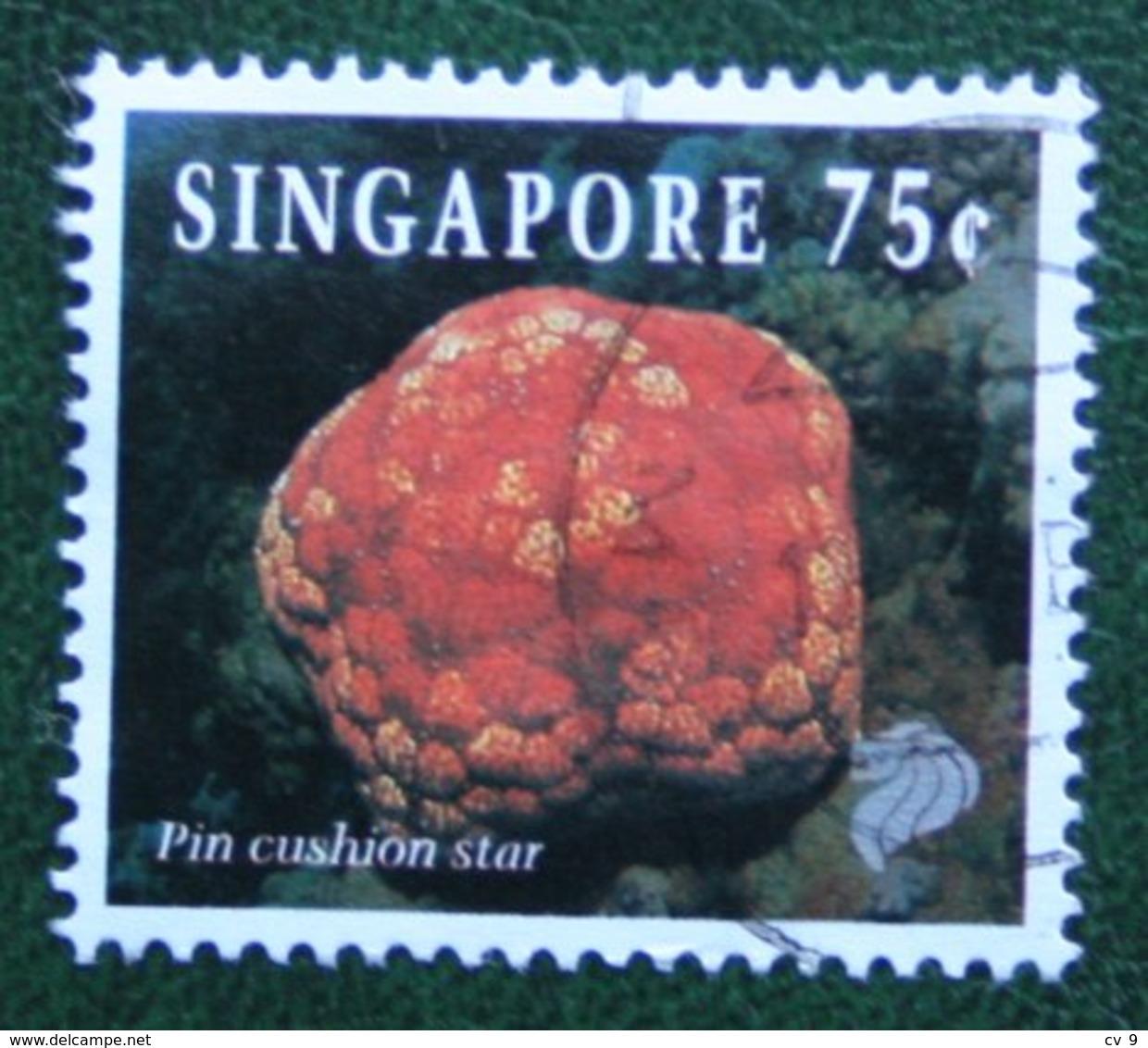 75 C Coral & Reef Marine Life Definitives PIN CUSHION STAR 1994 Mi 717 Used Gebruikt Oblitere SINGAPORE SINGAPUR - Singapur (1959-...)