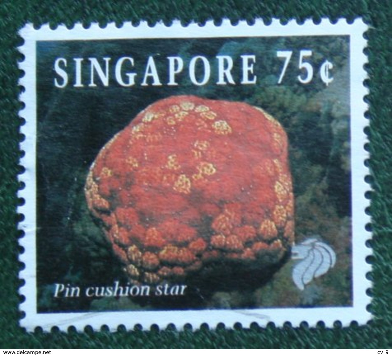 75 C Coral & Reef Marine Life Definitives PIN CUSHION STAR 1994 Mi 717 Used Gebruikt Oblitere SINGAPORE SINGAPUR - Singapur (1959-...)