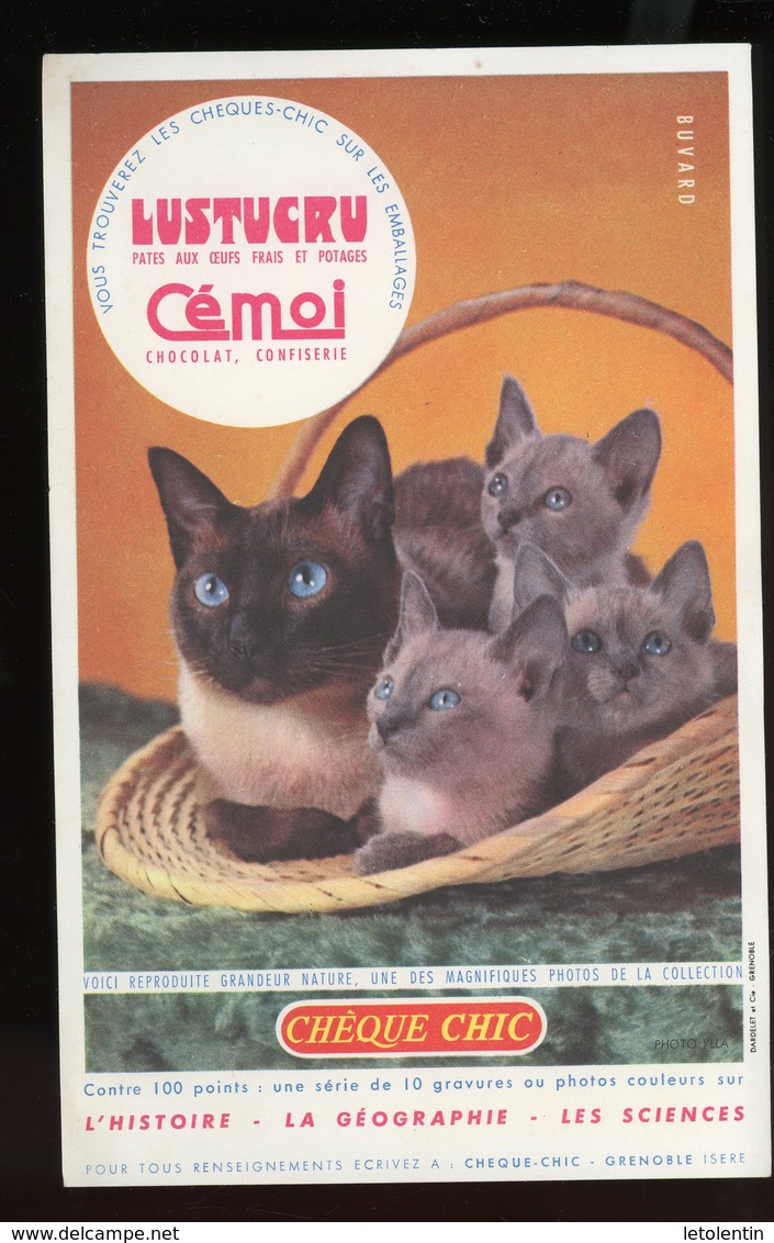 BUVARD:  LUSTRUCU ET CEMOI (CHATS) - FORMAT  Env. 13,5X21,5 Cm - Food