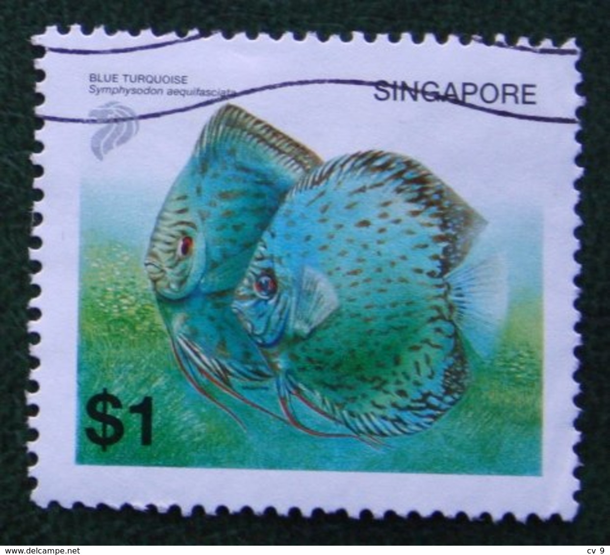 $1 Fish Vis Fisch Poisson Blue Turquoise 2001 2002 Mi 1178 YT 1122 Used Gebruikt Oblitere SINGAPORE SINGAPUR - Singapur (1959-...)