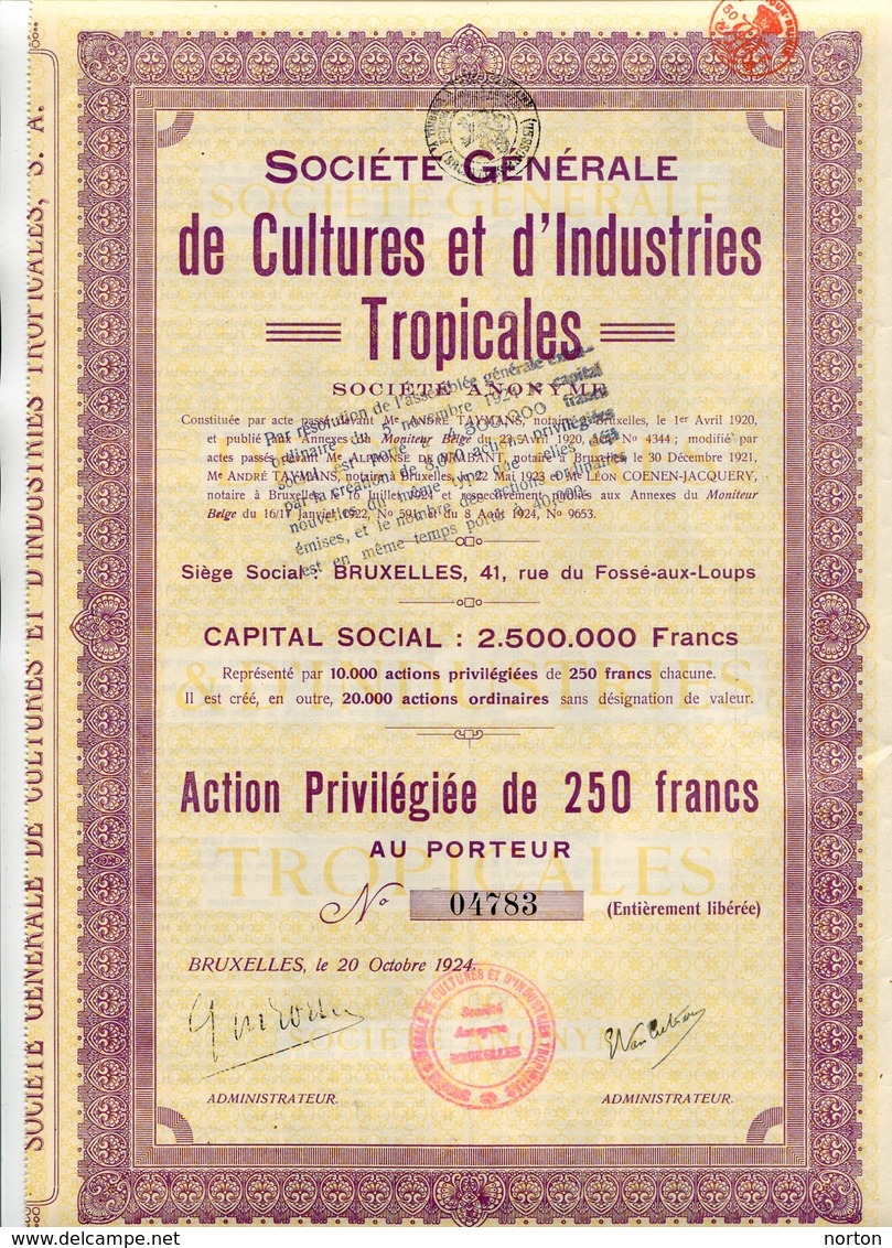 Société Générale De Cultures Et D'Industries Tropicales Bruxelles 1924 Action Privilégiée De 250 Fr - Agriculture