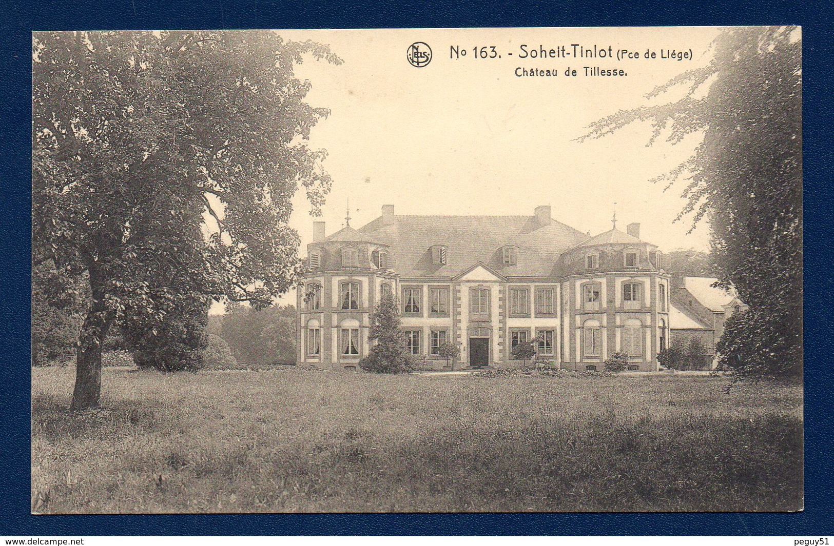 Tinlot ( Liège). Château De Tillesse à Scry. ( XIII è S.) - Tinlot