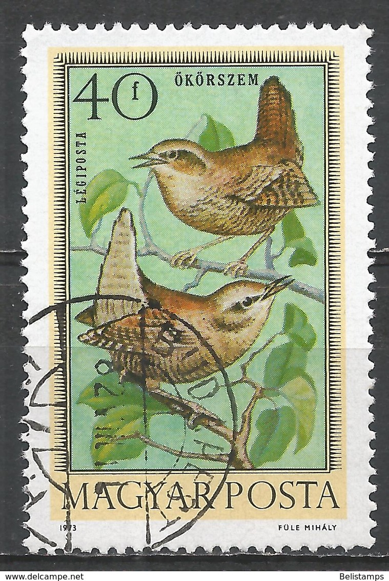 Hungary 1973. Scott #C337 (U) Bird, Wrens - Oblitérés