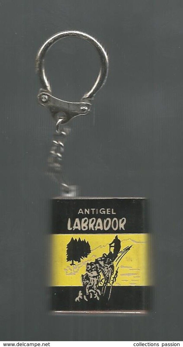 Porte Clefs , Clés ,ANTIGEL LABRADOR, 2 Scans ,frais 2.45 E - Porte-clefs