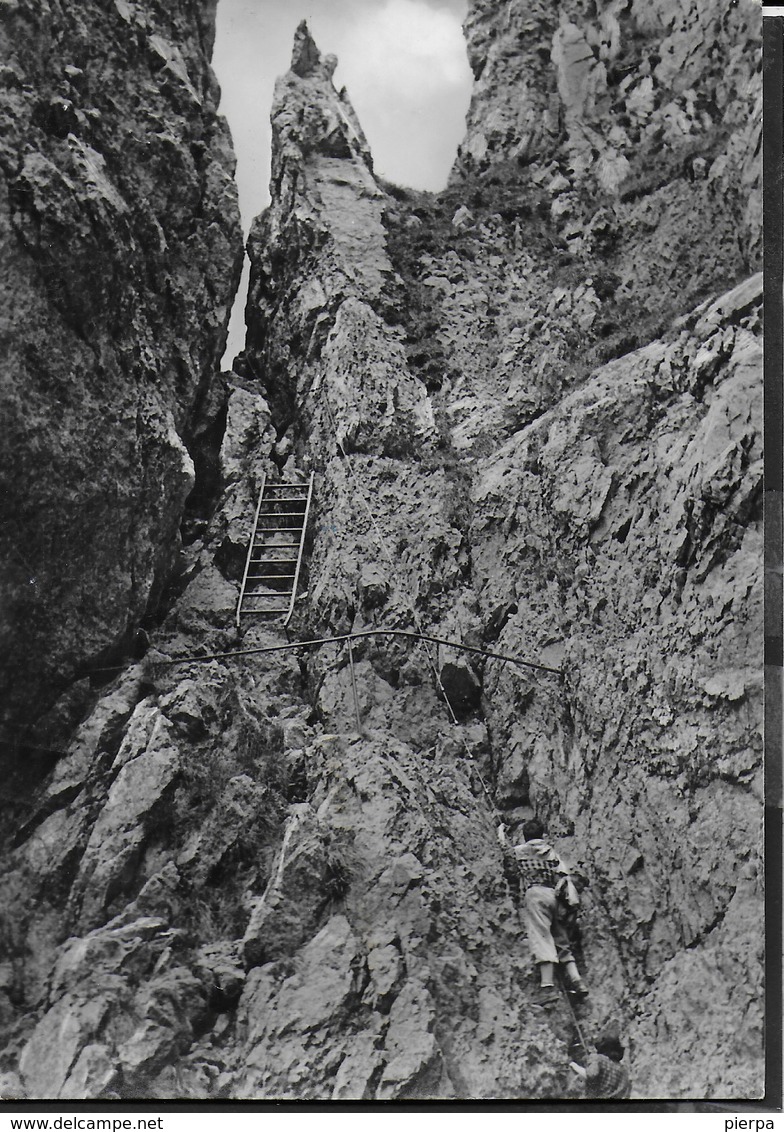 GRIGNA MERIDIONALE - CAMINETTO PAGANI - SENTIERO DELLA DIRETTISSIMA - VIAGGIATA1967 FRANCOBOLLO ASPORTATO - Arrampicata