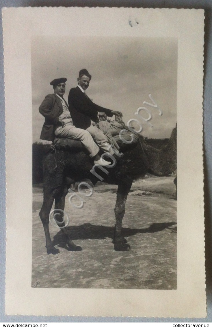 Fotografia - Garian - Libia 1935 - Uomini Su Cammello - Altri & Non Classificati